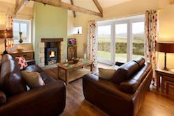 dog-friendly-northumberland-4