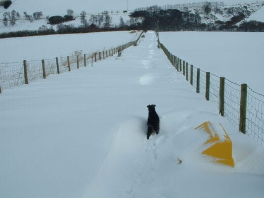 A white Christmas in Scotland at Moray Cottages