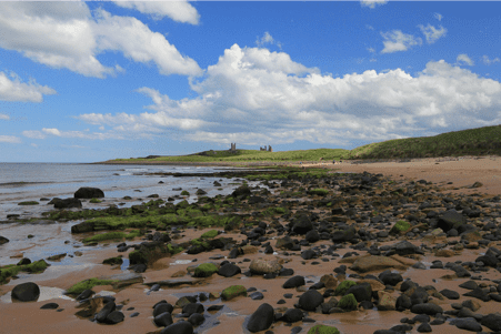 Dog friendly Dunstanburgh Castle, Craster. one of many dog friendly places to visit in Northumberland