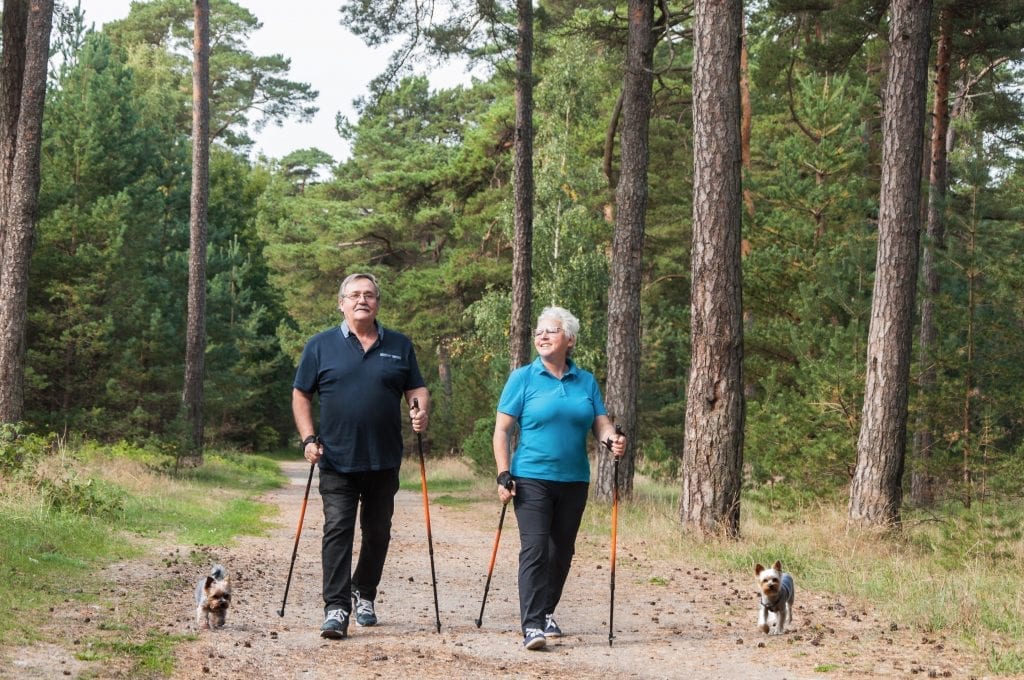 Dog friendly places in Dorset - Walkabouts
