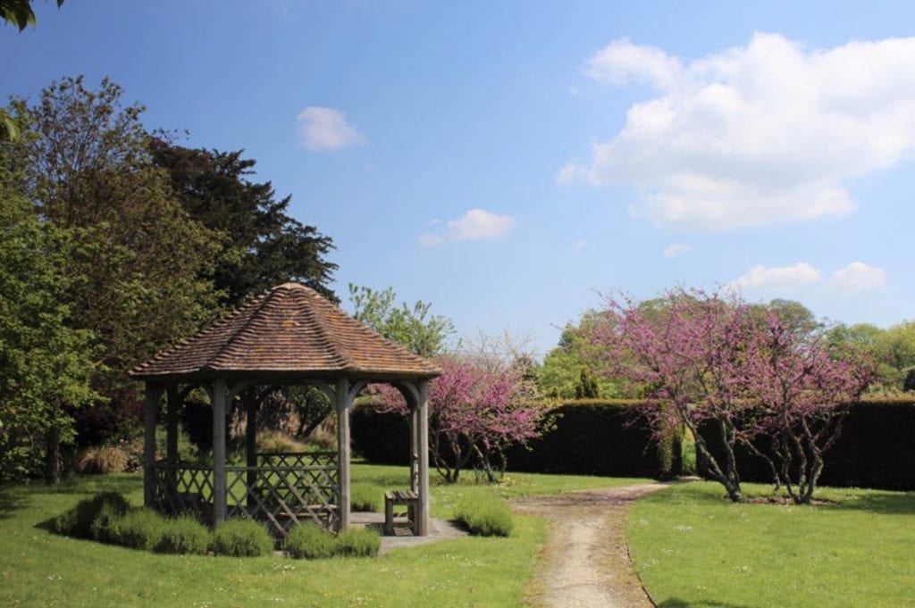 The Walled Garden in Moreton Dorset is positively dog friendly