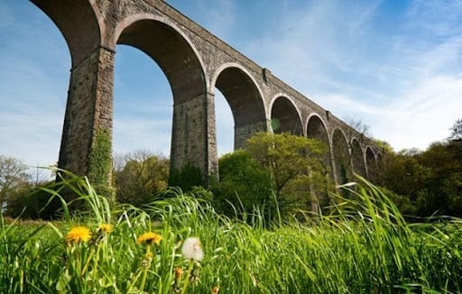 Porthkerry Country Park welcomes dogs