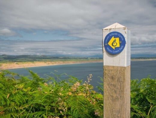 Dog friendly walks along the Wales coast path