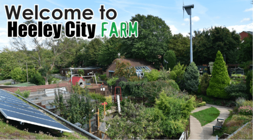 Dogs are welcome at Heeley City Farm