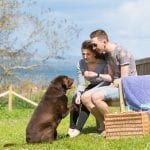 Beverley Holidays dog friendly holiday park in Devon