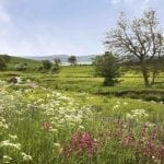 Lovely walks for your dogs from your cottage in Northumberland