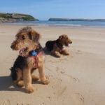 Self catering agency in Cornwall - Cornish Traditional Cottages
