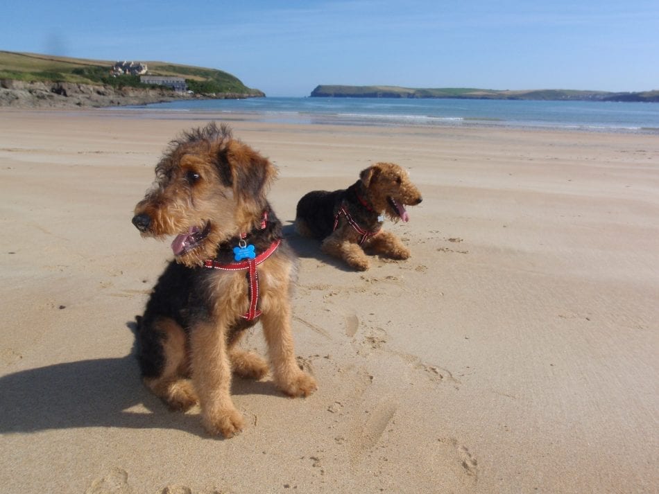 Self catering agency in Cornwall - Cornish Traditional Cottages