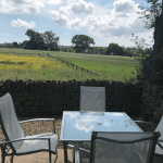dog friendly self catering in Yorkshire with Daisy Cottage