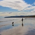 Dale Farm Holidays in Yorkshire for dog friendly holidays