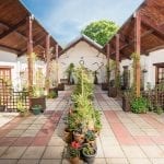dog friendly Hall Farm Cottages in Norfolk