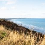 Haven - dog friendly holiday parks in the UK
