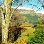 dog friendly Invergloy Riverside Lodges in Scotland