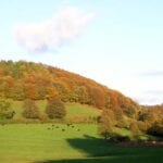 dog friendly Juniper Cottage in Gloucestershire
