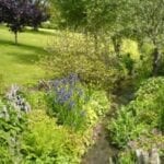 dog friendly Juniper Cottage in Gloucestershire