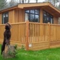 Landal Darwin Forest in Derbyshire welcomes pets