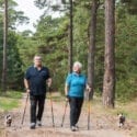 Sykes Cottages welcome dogs in the their properties throughout the UK
