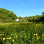 dog friendly Mineshop Holiday Cottages in Cornwall