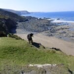 dog friendly Mineshop Holiday Cottages in Cornwall