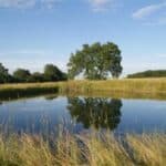 Old Rectory Cottages Flixton, dog friendly cottages in Suffolk