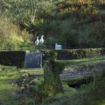 Overbrook Barn for dog friendly holidays in Derbyshire