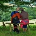 Stallion Valley Holiday Cottages in Ceredigion are dog friendly