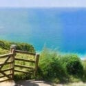 Talehay Cottages in Looe welcome dogs