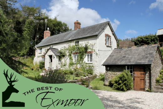 The Best of Exmoor has dog friendly holiday properties