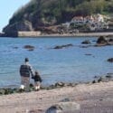 The Downs in Torquay, Devon is dog friendly