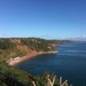 The Downs in Torquay, Devon is dog friendly