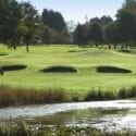 The Downs in Torquay, Devon is dog friendly