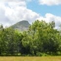 The Lodge near Abergavenny in Monmouthshire is dog friendly