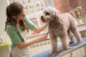 Grooming can help with keeping dogs cool