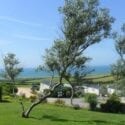 Gorselands Caravan Park in Dorset welcomes pets