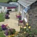 Gorselands Caravan Park in Dorset welcomes pets