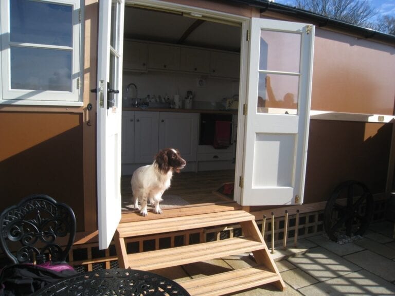 Hut and Hound in Cornwall welcomes pets