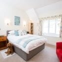 Westleigh Bed and Breakfast in Devon positively welcomes dogs