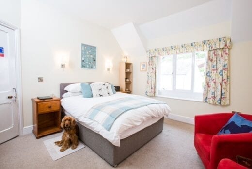 Westleigh Bed and Breakfast in Devon positively welcomes dogs