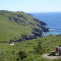 Bolberry Down in Devon