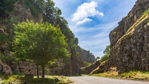 Cheddar Gorge is a great place for dog walking