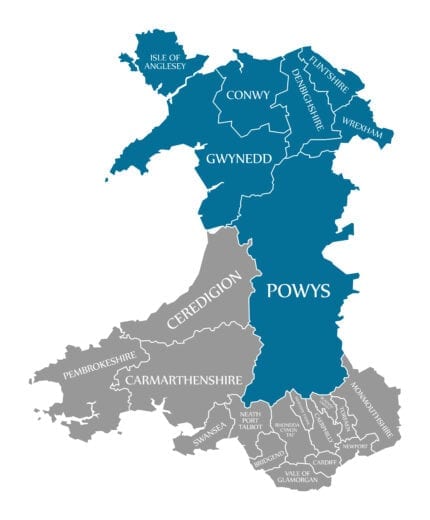 Amazing Ideas for Dog Friendly Days out in Mid and North Wales