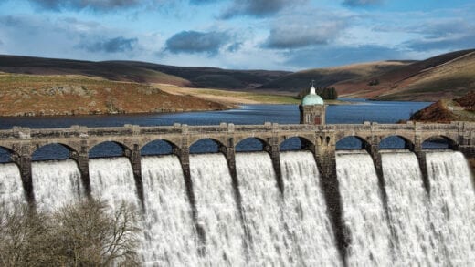 Fantastic dog walking in the Elan Valley