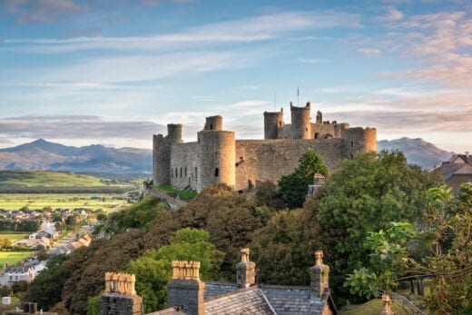 Harlech Castle is one of the many places to for Dog Friendly Days out in Mid and North Wales