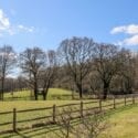 Enjoy the scenery that Sussex has to offer