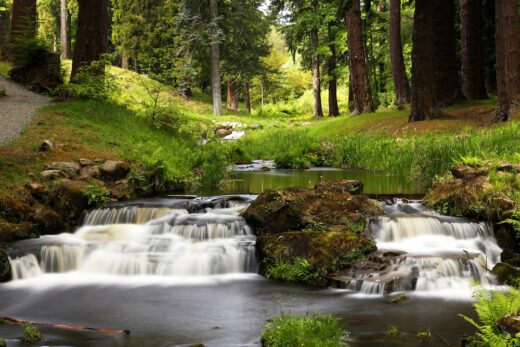Waterfalls and lakes for your dog to enjoy at Cragside