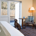 The Inn Collection