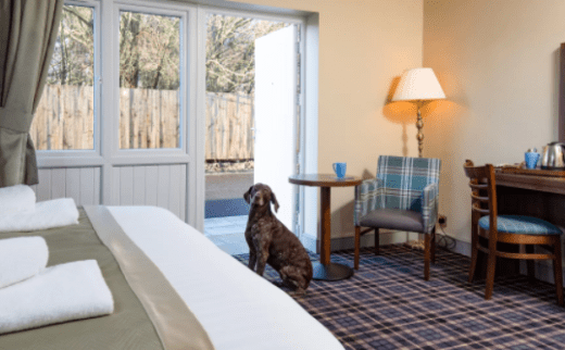The Inn Collection