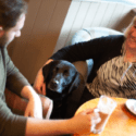 dog friendly holidays