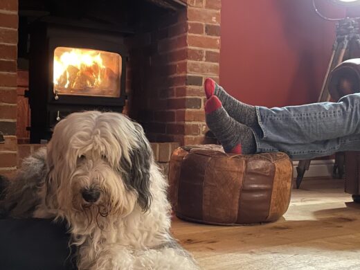 Hound and Human Holidays for dogs and their owners to enjoy