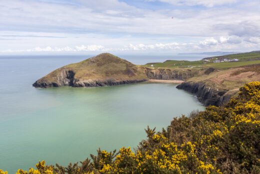 Mwnt Beach and Headland in Ceredigion are great for dog walking